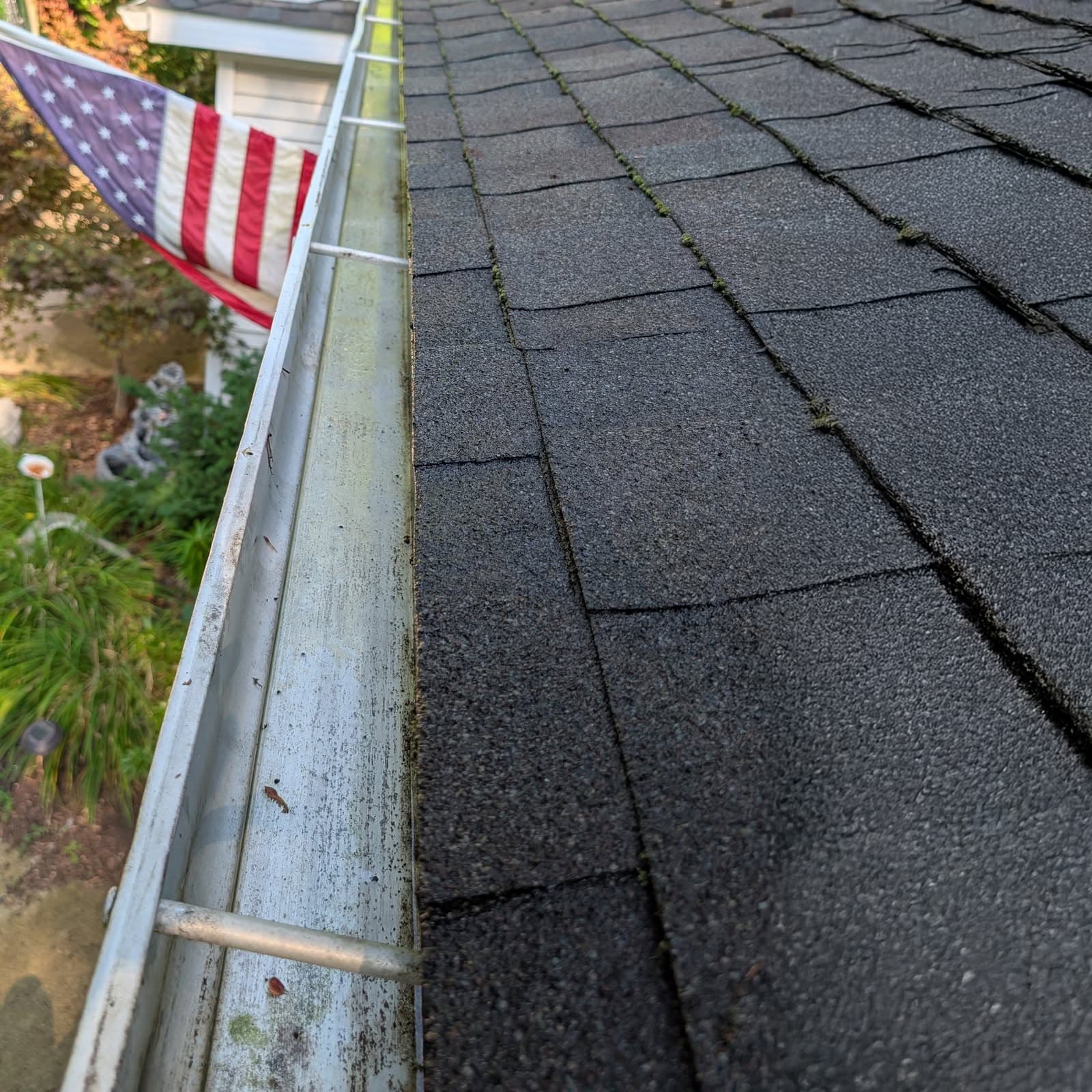 Gutter Services